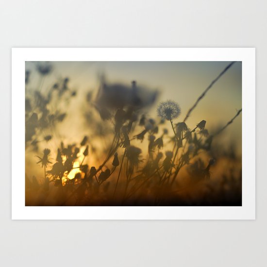 The fire of the sun Art Print