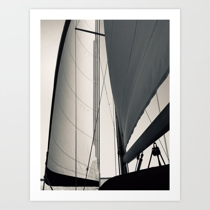 Sails Art Print
