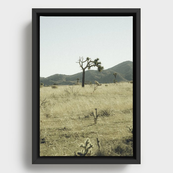 Thee Joshua Tree - Support my small business Framed Canvas