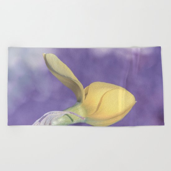 Narcissus bud Beach Towel