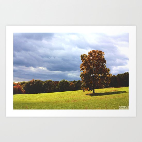 Field of Dreams Art Print