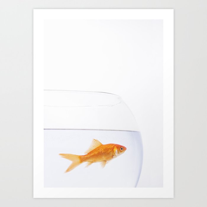 Goldfish in a bowl Art Print