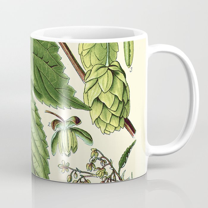 Humulus lupulus (common hop or hops) - Vintage botanical illustration Coffee Mug