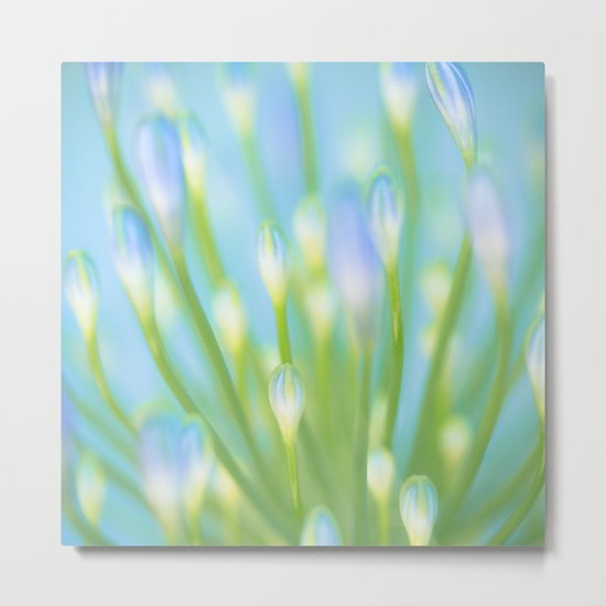 Blue & Green Metal Print