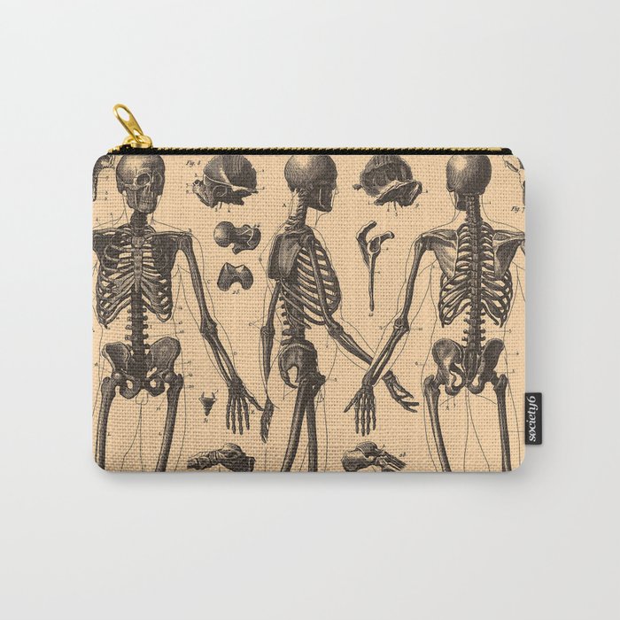 Vintage Human Skeleton Anatomy Diagram (1907) Carry-All Pouch