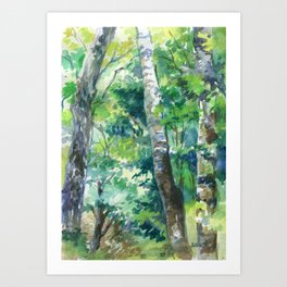 Trees Art Print