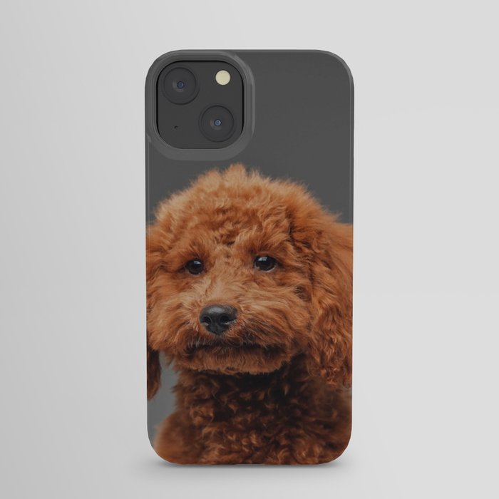 Cute Miniature Poodle Peach Fur Against 21 iPhone Case