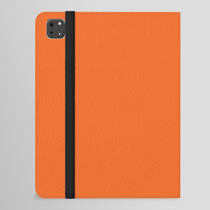 Autumn Gourd Orange  iPad Folio Case