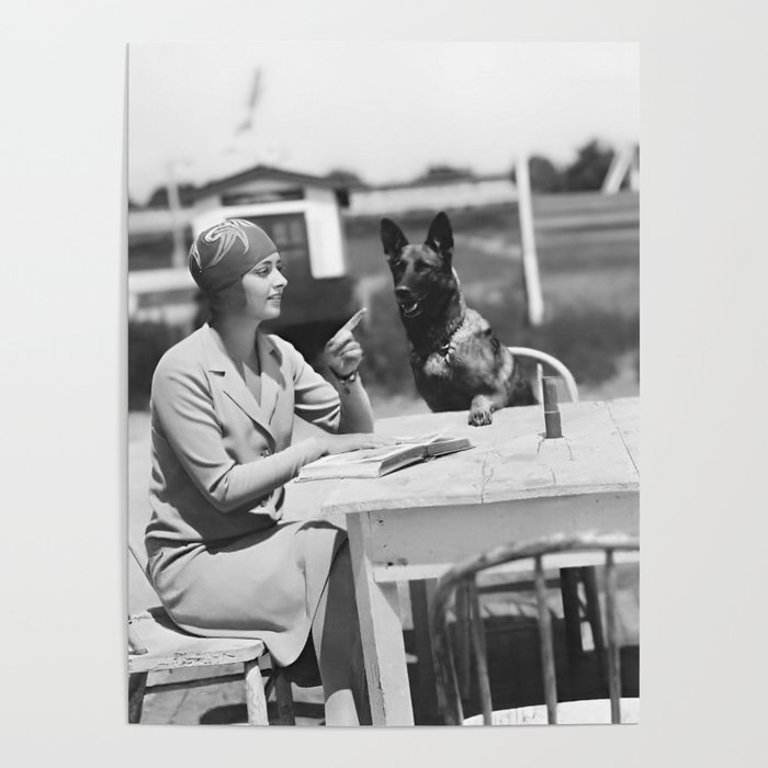 Dog day afternoon; young female flapper with German shepherds behaving badly at outdoor table vintage black and white photograph - photography - photographs  Poster
