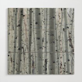 Aspen Eyes Wood Wall Art