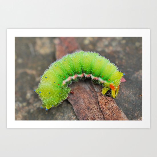 Caterpillar Art Print
