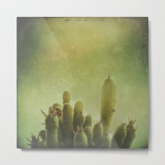 Cactus in my mind Metal Print