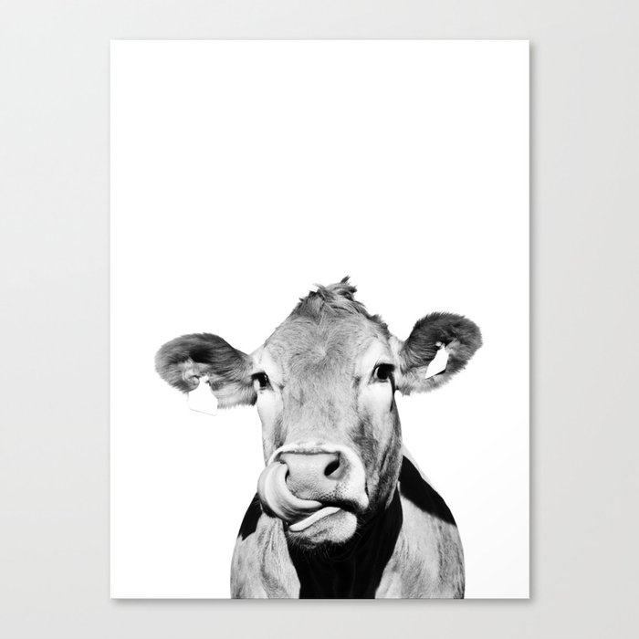 Cow Photo Black And White Canvas Print By Ccartstudio Society6