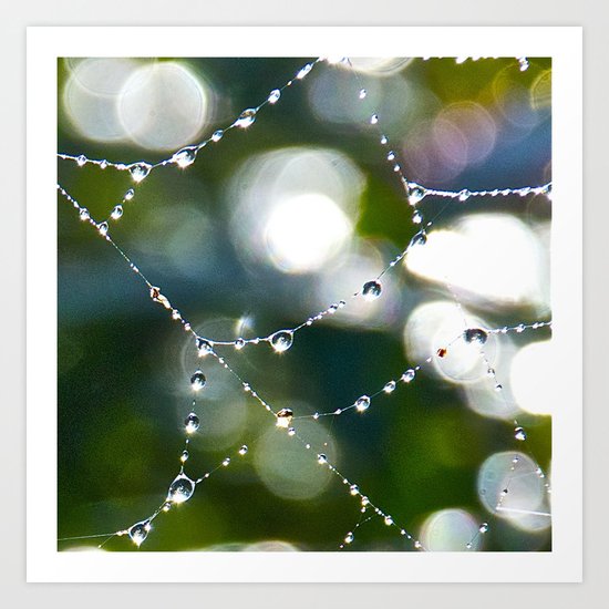Wonder Art Print