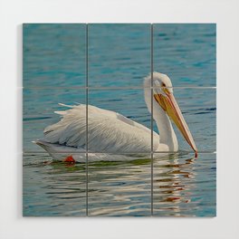 White Pelican Reflection Wood Wall Art