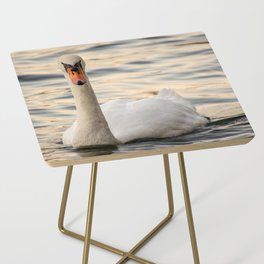 A swan staring at the camera Side Table