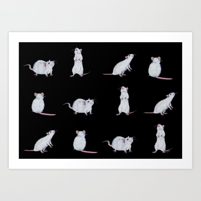 little white rats Art Print