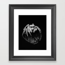 Spider Reflection Framed Art Print