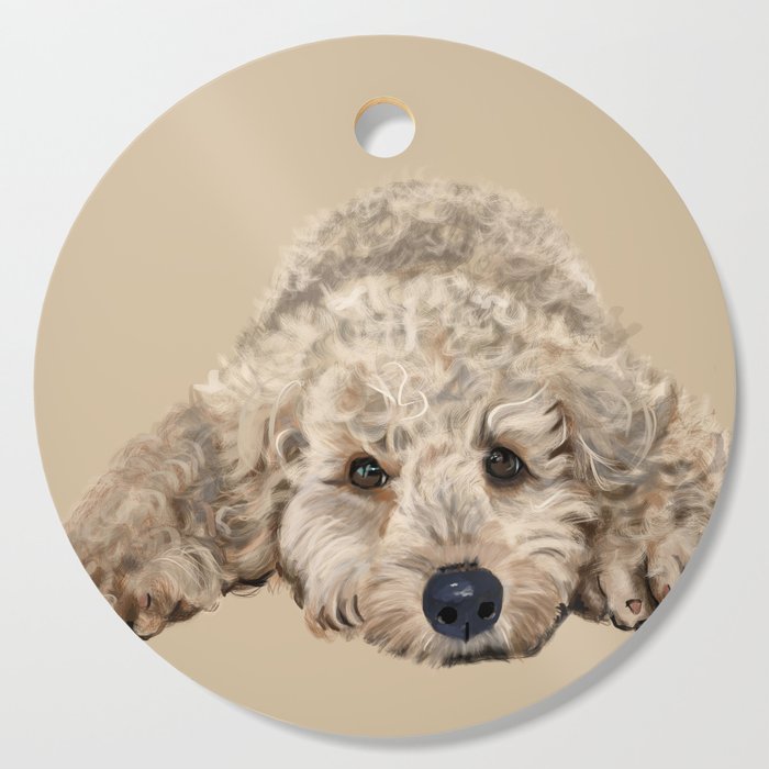 Labradoodle accessories new arrivals