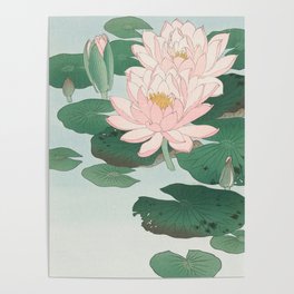 Water Lilies - Japanese Vintage Woodblock Print Poster
