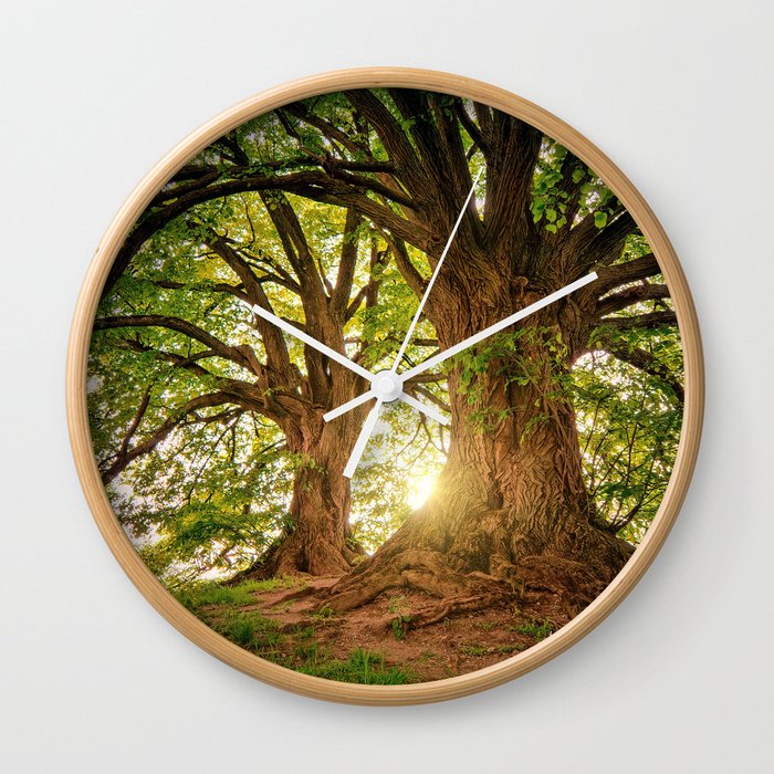 Forest Tree Nature Photo Wall Clock