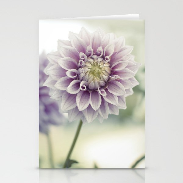 Pink Dahlia Flower Stationery Cards