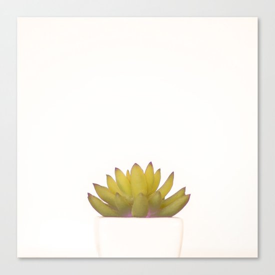 Cactus in flower pot on white background Canvas Print