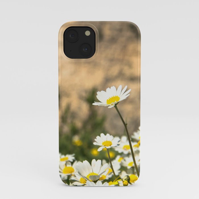 Spring Camomile iPhone Case