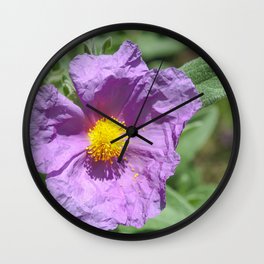 Wild flower in rosacea color Wall Clock