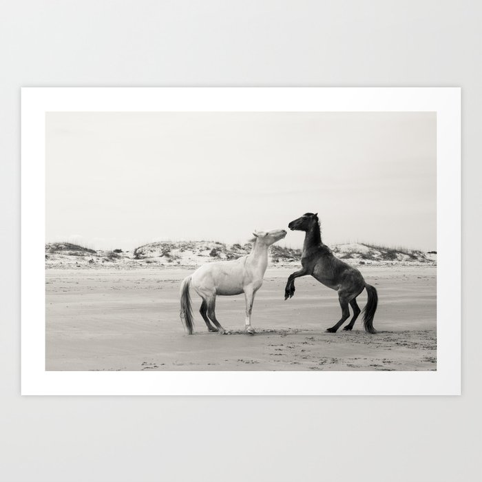 Wild Horses 4 - Black and White Art Print