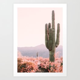 Cactus Art Prints For Any Decor Style Society6