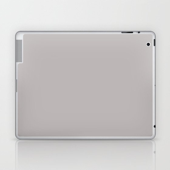 Essential Gray Laptop & iPad Skin