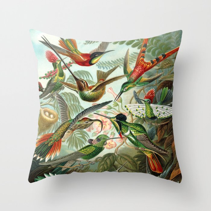 Ernst Haeckel Hummingbirds Throw Pillow