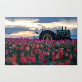 Tractor in tulip field Canvas Print