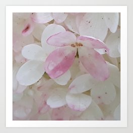Hortensia blossom pattern Art Print