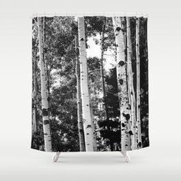 Aspen Forest - Black And White Nature Photography Shower Curtain