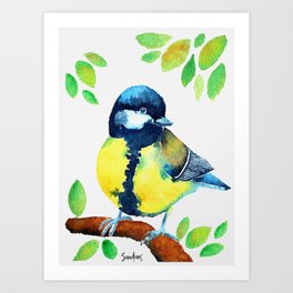 Great Tit Watercolor Bird Art Print