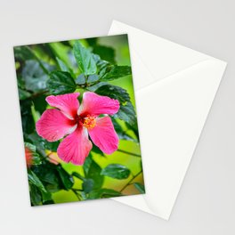 Alejandra's Flower Stationery Card