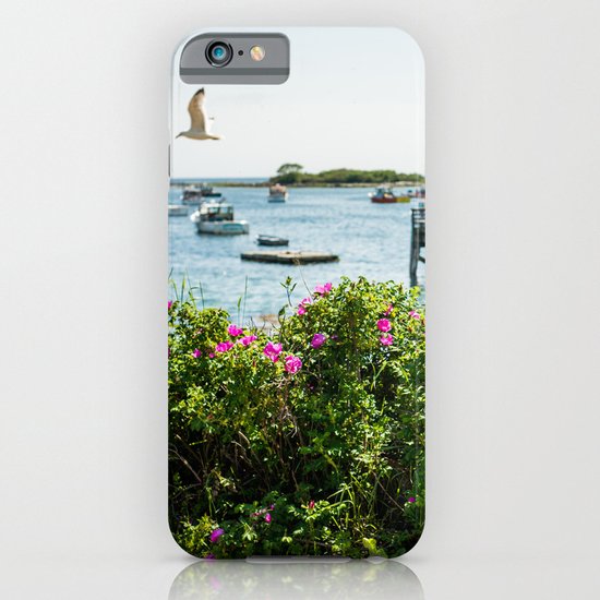 Rosa rugosa (Beach Rose) iPhone & iPod Case
