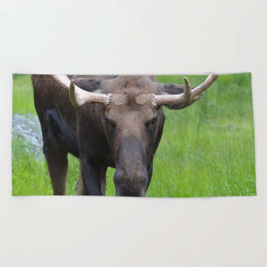 Bullwinkle Bull Beach Towel