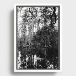 Monochrome Charleston Cypress Gardens III Framed Canvas