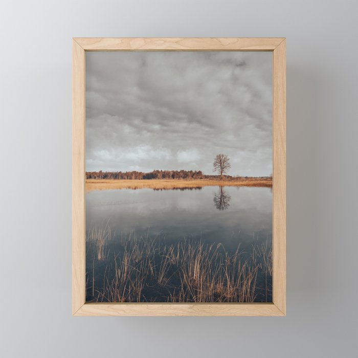 Lonely tree across the lake Framed Mini Art Print