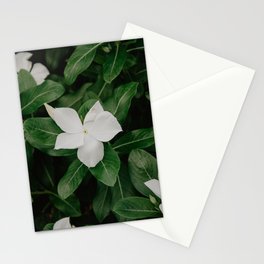 white flowers Stationery Card