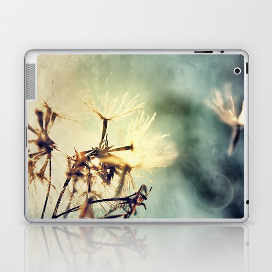 Make a Wish Laptop & iPad Skin