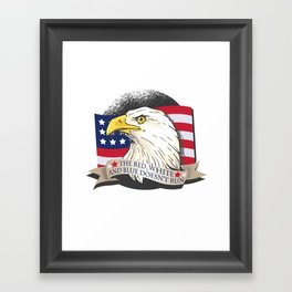 American Patriot Eagle Framed Art Print