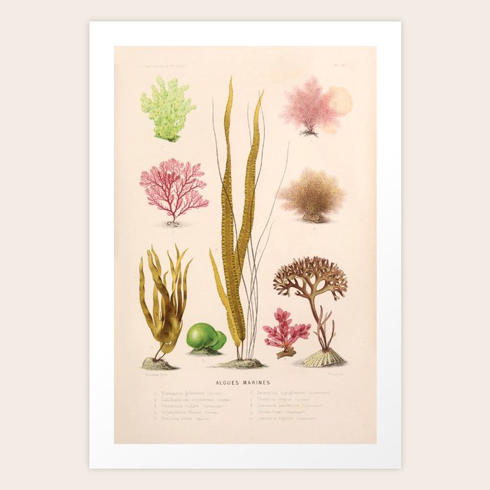 Art Print