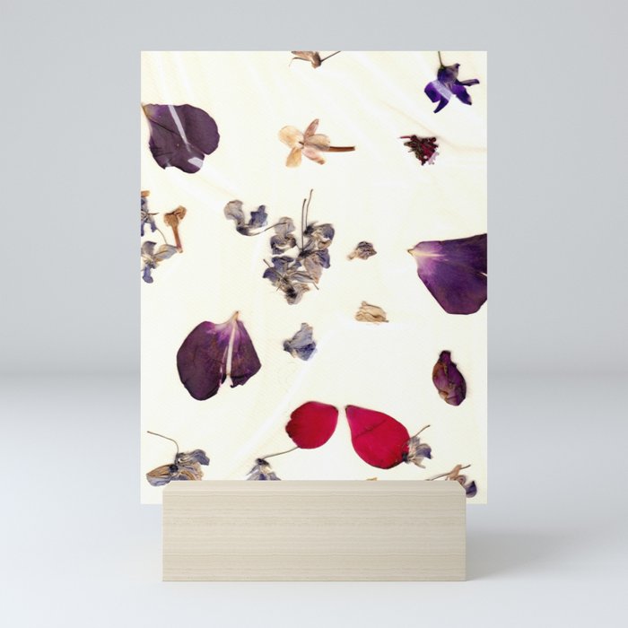 Dried Wildflowers v.2 Mini Art Print