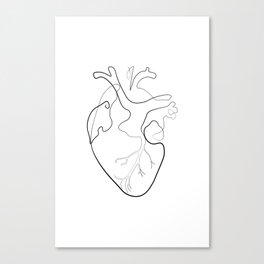 Single Line Anatomical Heart, Medical Wall Decor Canvas Print