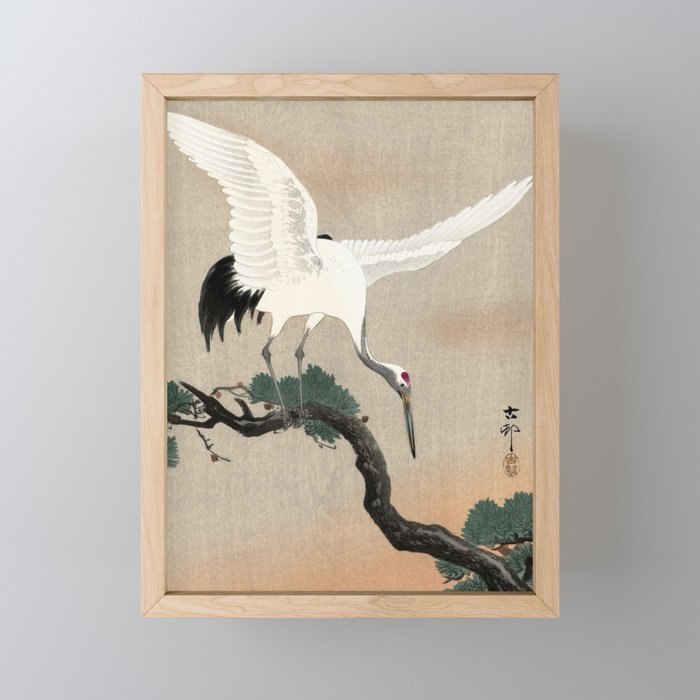 Japanese Crane on Branch of Pine, 1900-1930 by Ohara Koson Framed Mini Art Print