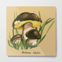 Mushroom illustration : Boletus edulis Metal Print | Magicmushroom, Funnymushroom, Vegetarian, Mushrooms, Psychedelicmushroom, Angrymushroom, Trippymushroom, Frogwithmushroom, Cottagecore, Forest 